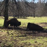Московская область, фото отдыхающего в апреле