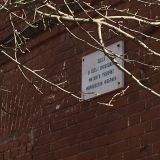 Московская область, фото отдыхающего в апреле