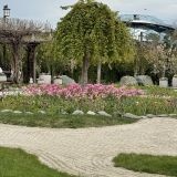 Краснодар, фото отдыхающего в апреле