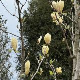 Краснодар, фото отдыхающего в апреле