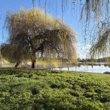 Отель Корона, фото гостя