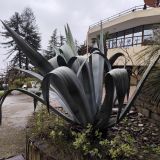 Оздоровительный комплекс Дивный, фото гостя
