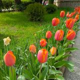 Сочи, фото отдыхающего в апреле