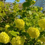 Сочи, фото отдыхающего в апреле