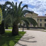 Сочи, фото отдыхающего в апреле