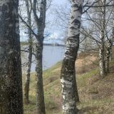 Гостевой дом Вишневый Сад, фото гостя