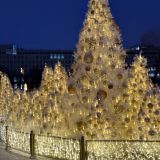 Средняя полоса России, фото отдыхающего в мае
