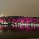 Средняя полоса России, фото отдыхающего в мае