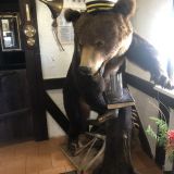 База отдыха Александровский Причал, фото гостя