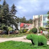 Гостевой дом Фламинго, фото гостя