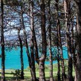 Гостевой дом Цитрус, фото гостя