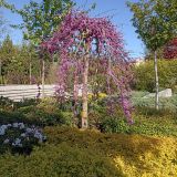 Краснодар, фото отдыхающего в апреле