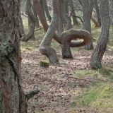 Балтийское море, фото отдыхающего в мае