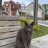 Балтийское море, фото отдыхающего в мае