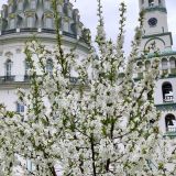 Гостевая Изба на Истре, фото гостя