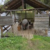 База отдыха Этно-Усадьба, фото гостя