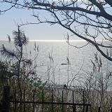 Гостевой дом Арт-деревня Витланд, фото гостя
