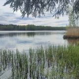 Загородный клуб VALDAY HUNTING & COUNTRY CLUB, фото гостя