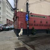 Средняя полоса России, фото отдыхающего в мае