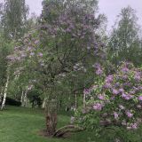 Средняя полоса России, фото отдыхающего в мае