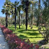 Сочи, фото отдыхающего в мае