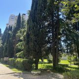 Сочи, фото отдыхающего в мае