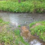 Отель Кивано, фото гостя