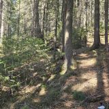 Река Иртыш, фото отдыхающего в мае