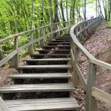 Гостевой дом Рябиновые бусы, фото гостя