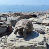Гостиница Морской Бриз, фото гостя