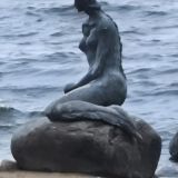 Парк-Отель Хвойный, фото гостя