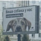 Средняя полоса России, фото отдыхающего в мае