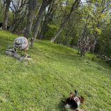 Гостевой дом Арт-деревня Витланд, фото гостя