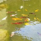 Краснодар, фото отдыхающего в мае
