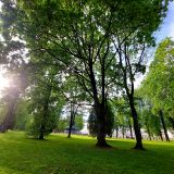 Великий Новгород, фото отдыхающего в мае