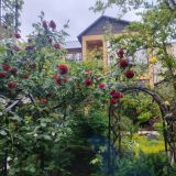 Отель Ева, фото гостя