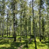 Центральная Россия, фото отдыхающего в мае