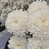 Апарт-отель Николая Никонова 18, фото гостя
