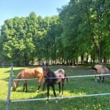 Парк-Отель Грумант, фото гостя
