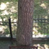 Гостевой дом Фламинго, фото гостя