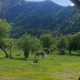 База отдыха ИДИЛЛИЯ, фото гостя