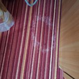 Отель Вега Измайлово, фото гостя