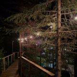 База отдыха Телецкое Золотое, фото гостя