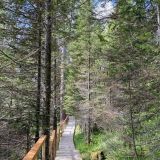 База отдыха Телецкое Золотое, фото гостя
