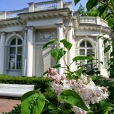 Гостевой дом Типичный Питер на Итальянской, фото гостя