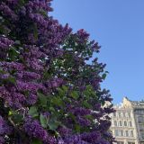 Санкт-Петербург, фото отдыхающего в мае