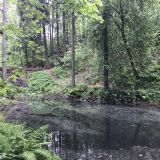 Ленинградская область, фото отдыхающего в мае