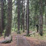 Ленинградская область, фото отдыхающего в мае