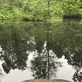 Ленинградская область, фото отдыхающего в мае