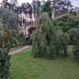 Загородный клуб Александръ, фото гостя